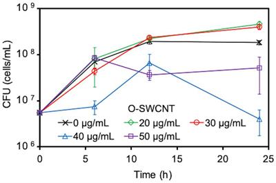 Long-term continuous degradation of carbon nanotubes by a bacteria-driven Fenton reaction